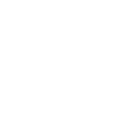 Steam